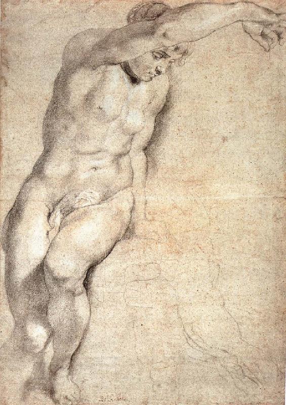 Peter Paul Rubens Portrait of naked woman